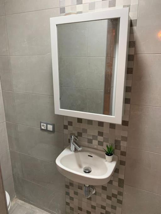 Coqueto Loft By Gades Gestion Daire Cadiz Dış mekan fotoğraf