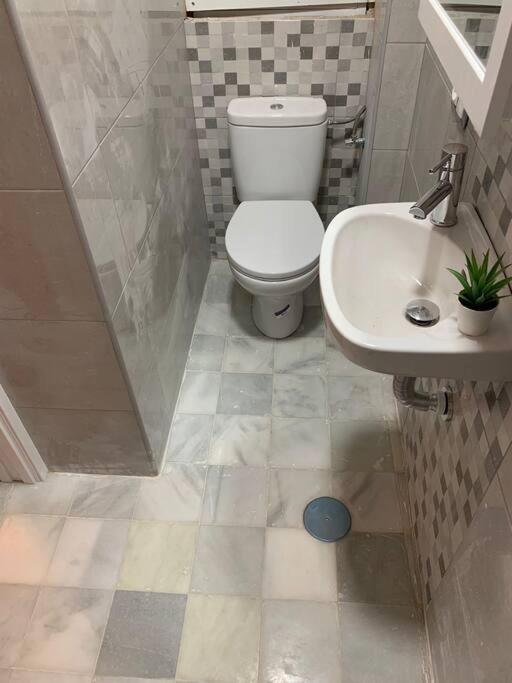 Coqueto Loft By Gades Gestion Daire Cadiz Dış mekan fotoğraf