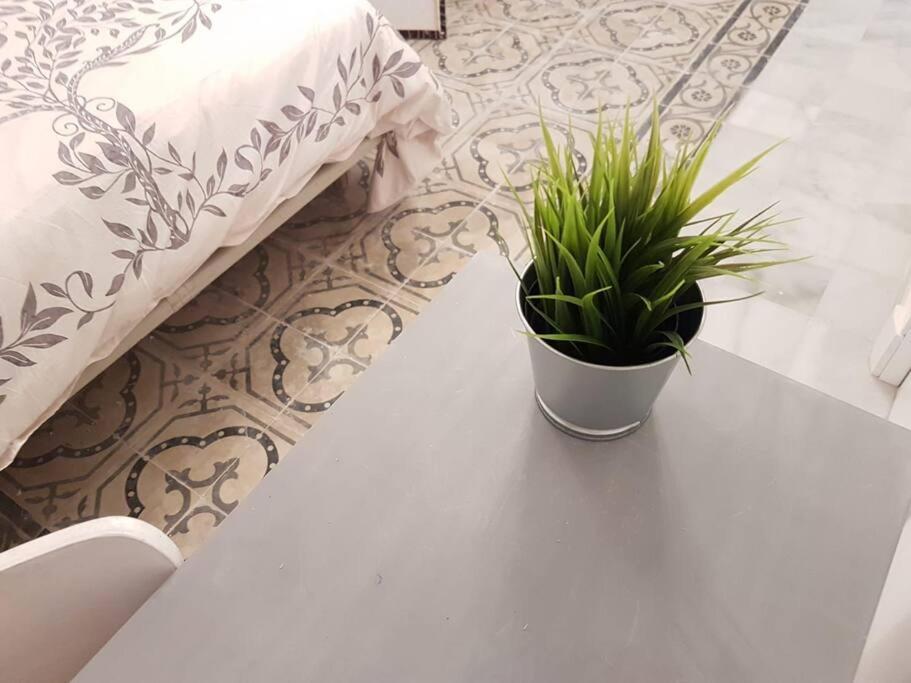 Coqueto Loft By Gades Gestion Daire Cadiz Dış mekan fotoğraf